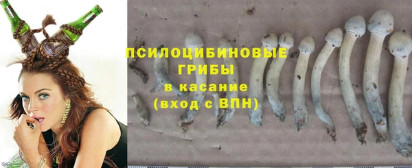 MDMA Белокуриха