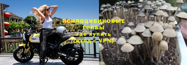 MDMA Белокуриха