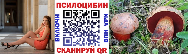 ссылка на мегу вход  купить закладку  Благодарный  Псилоцибиновые грибы Psilocybe 